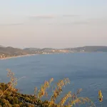 Cerasa * Rodio